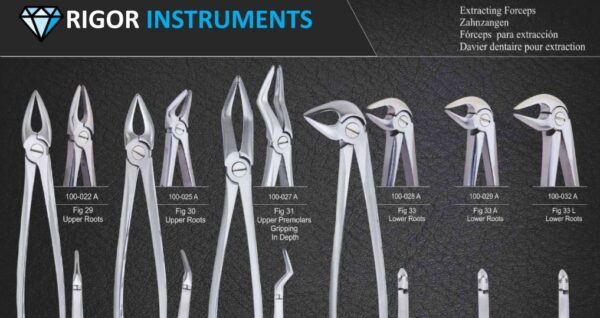 Dental Extracting Forceps