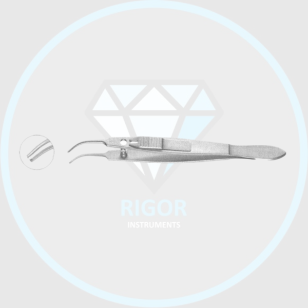 Moody Fixation Forceps (RI-01265)