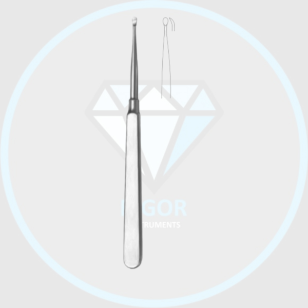 Molt Bone Curette (RI-S-4753)