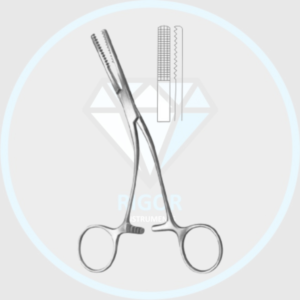 Salyer Bone Holding Forcep (RI-S-4962)